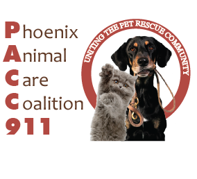 PACC911 logo