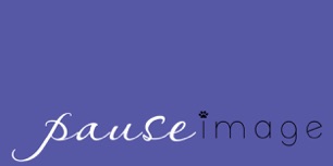 Pause Image Logo