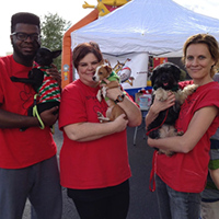 2DaRescue Volunteer