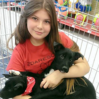 2DaRescue Volunteer
